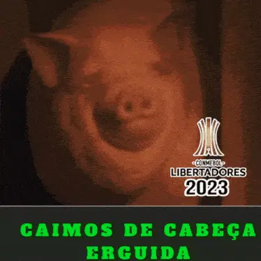 Palmeiras Libertadores: Caímos de Cabeça Erguida