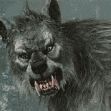 GIF diunggah oleh Rowe