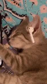 GIF อัปโหลดโดย Boommm