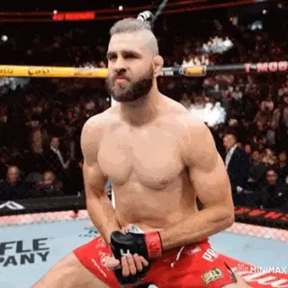 Jiri Prochazka vs. Tiger in UFC Ring