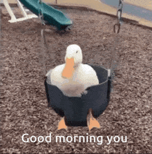 ms Mia上传的GIF