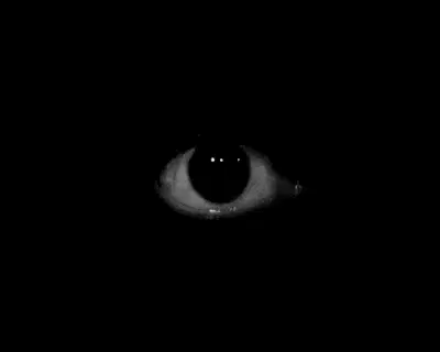 Eye in the Dark: I Can See You – dark memes meme GIF free download no watermark 2026