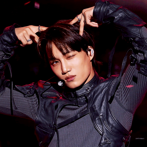 GIF 이미지
