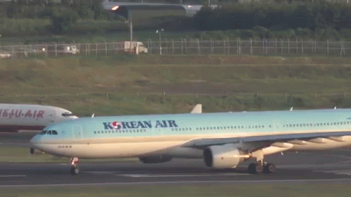 GIF 이미지