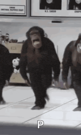 GIF