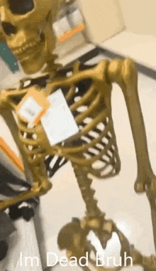 GIF
