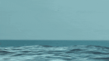 Mr Beast's Head in Water