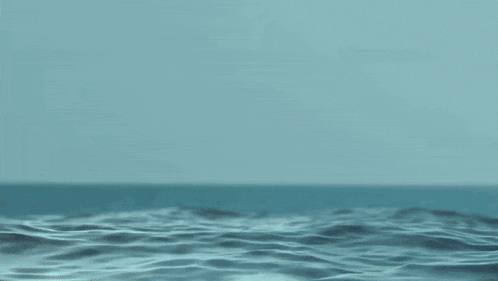 Mr Beast's Head in Water