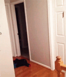 GIF