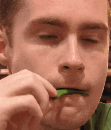 Mrbux Fonz Nibbles a Green Pea