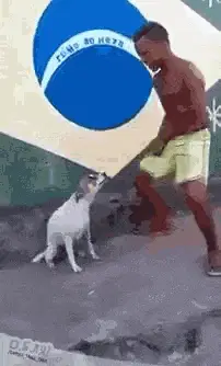 Man and Dog Play in Front of Brazil Flag