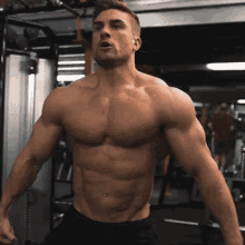 GIF