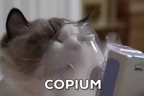 Copium Cat Meme