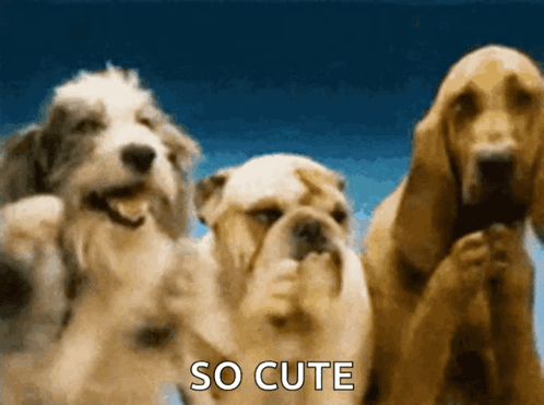 lEOQbuCWH1ZgJ1.gif
