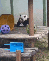 GIF uploaded by Funnygirl