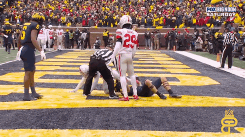 Michigan Wolverines vs. Ohio State Buckeyes Confrontation