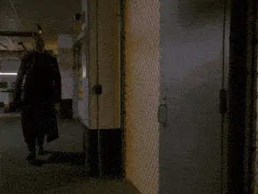 Quinlan Strigoi Opens Door