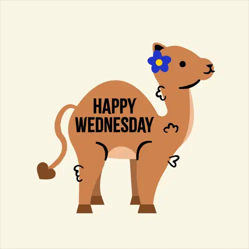 Wednesday Happy Wednesday