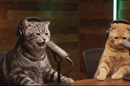 Laughing Cats Podcast Meme