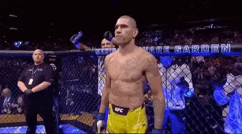 Alex Pereira in the UFC Octagon