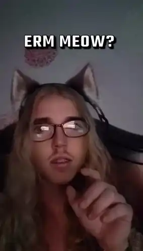 Person with Cat Ears Says "Erm Meow?"