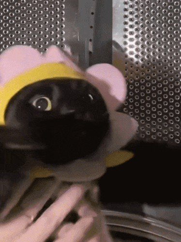 iLZre5B5qLLlo.gif