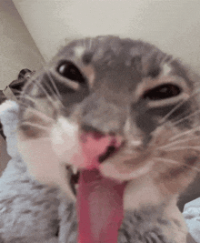 GIF subido por lex