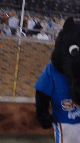 SMU Mustangs Peruna Mascot Dancing