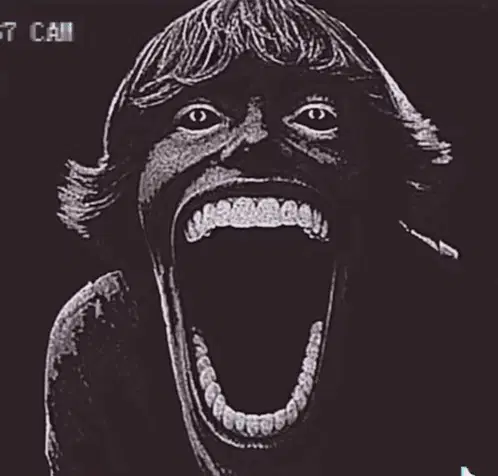 67 Horror Cam: Screaming Face