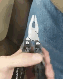 GIF