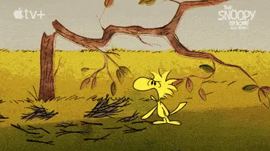 Snoopy Show: Woodstock's Upset