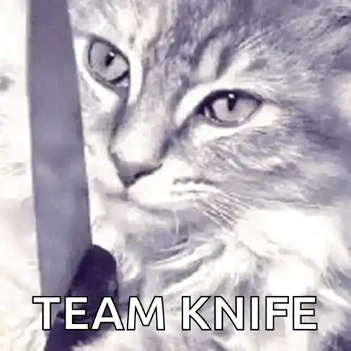 Team Knife Cat