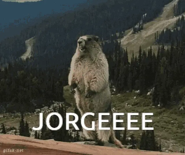 Jorge the Screaming Beaver Meme