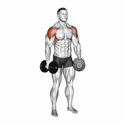 Elevação Lateral Com Halteres - Exercício