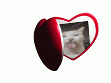 GIF uploaded by Teó