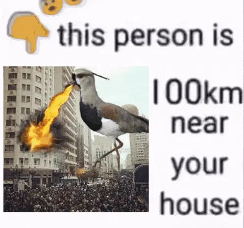 Curitiba Quero Quero Meme: 0 km Near Your House