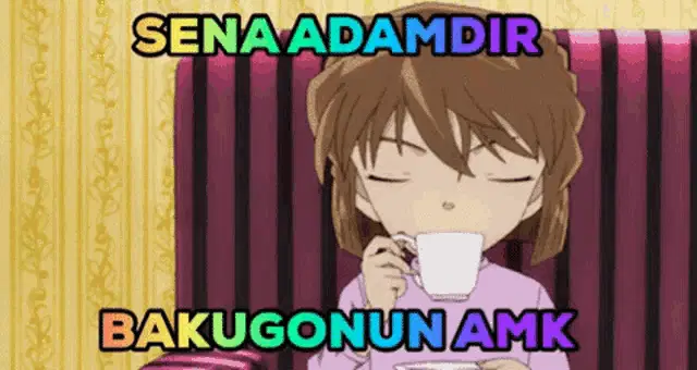 Sena Adamdır Bakugonun Amk
