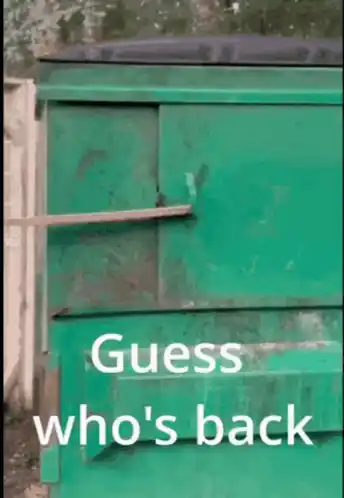 Zhakk Harn: Guess Who's Back Raccoon