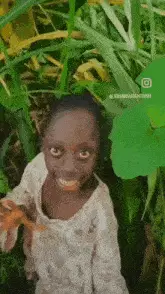 Jason Chambers Bruh Meme