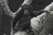 GIF napetrak'i Sarah