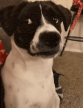 GIF enviado por Thais