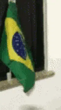 Brasil: Brazilian Flag Waving