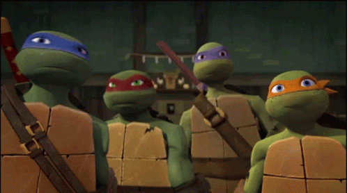 TMNT: Donnie, Leo, Mikey, and Raph Together