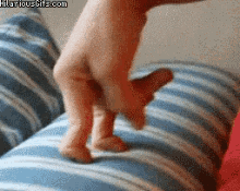 GIF
