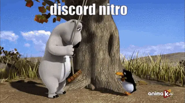 Bernard Bear & Penguin Discord Nitro Meme