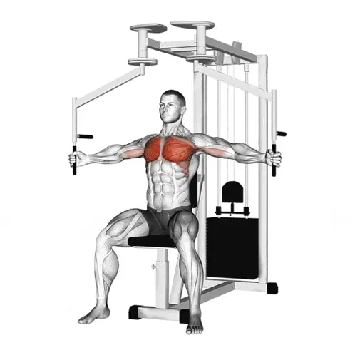 Pec Fly Exercise on Machine