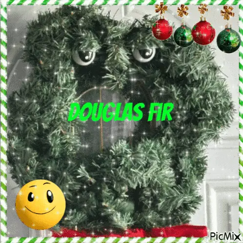 Douglas Fir Wreath with Googly Eyes
