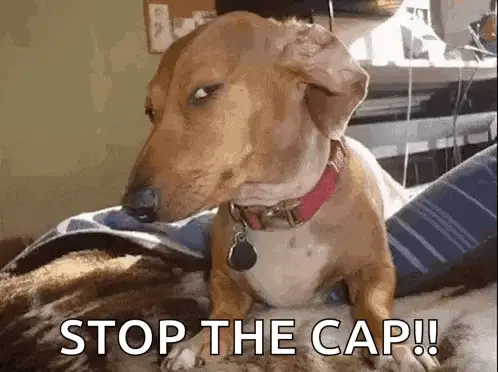 Dog's Side Eye with 'STOP THE CAP!!' Meme