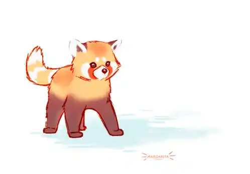 Playful Red Panda