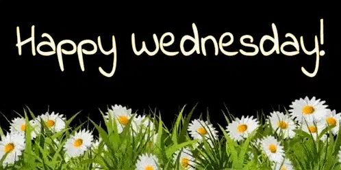 Happy Wednesday with Daisies – free GIF download | meme platform | memes GIF